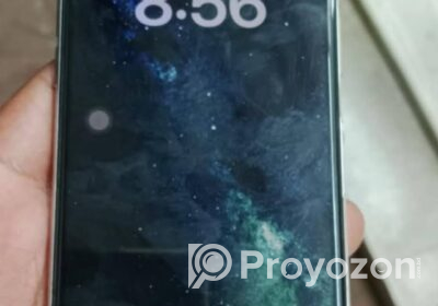 1000095621