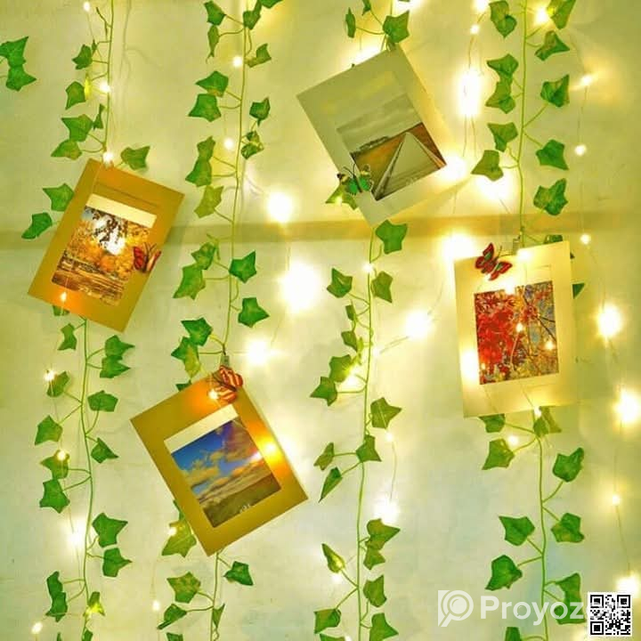 বেডরুম ও ড্রইং রুমকে আকর্ষণীয় করে তোলার জন্য