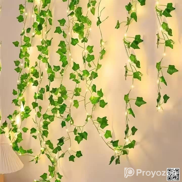 বেডরুম ও ড্রইং রুমকে আকর্ষণীয় করে তোলার জন্য