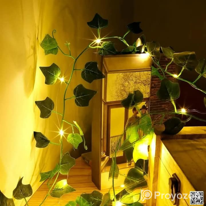 বেডরুম ও ড্রইং রুমকে আকর্ষণীয় করে তোলার জন্য