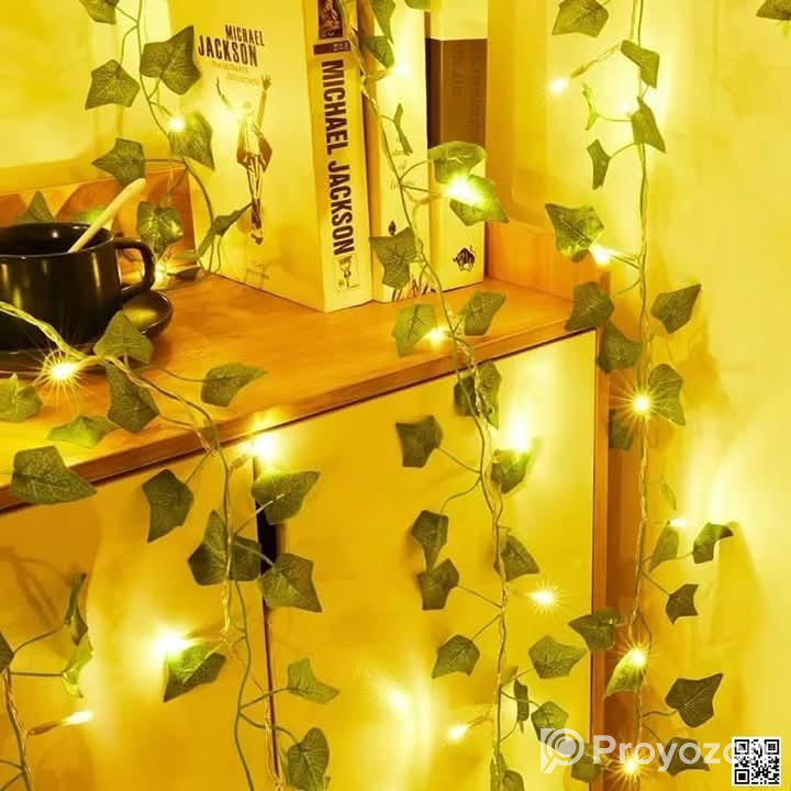 বেডরুম ও ড্রইং রুমকে আকর্ষণীয় করে তোলার জন্য