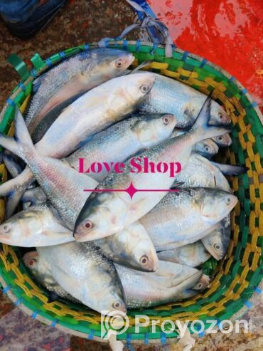 রূপচাঁদা মিক্স চিংড়ি সেল করা হয়