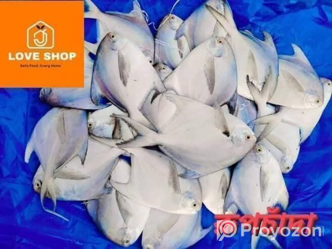 রূপচাঁদা মিক্স চিংড়ি সেল করা হয়