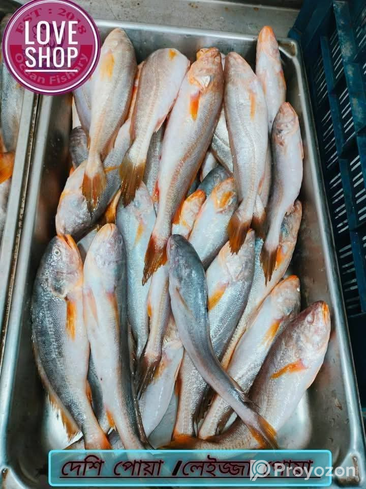 রূপচাঁদা মিক্স চিংড়ি সেল করা হয়