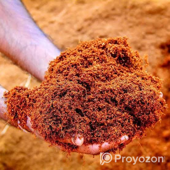 গাছের জন্য মাটি নয়, এবার বেছে নিন কোকো পিট!