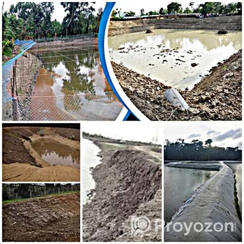 হাইব্রিড দূর্বা ঘাসের বীজ।কেজি হিসেবে বিক্রি করা হয়।