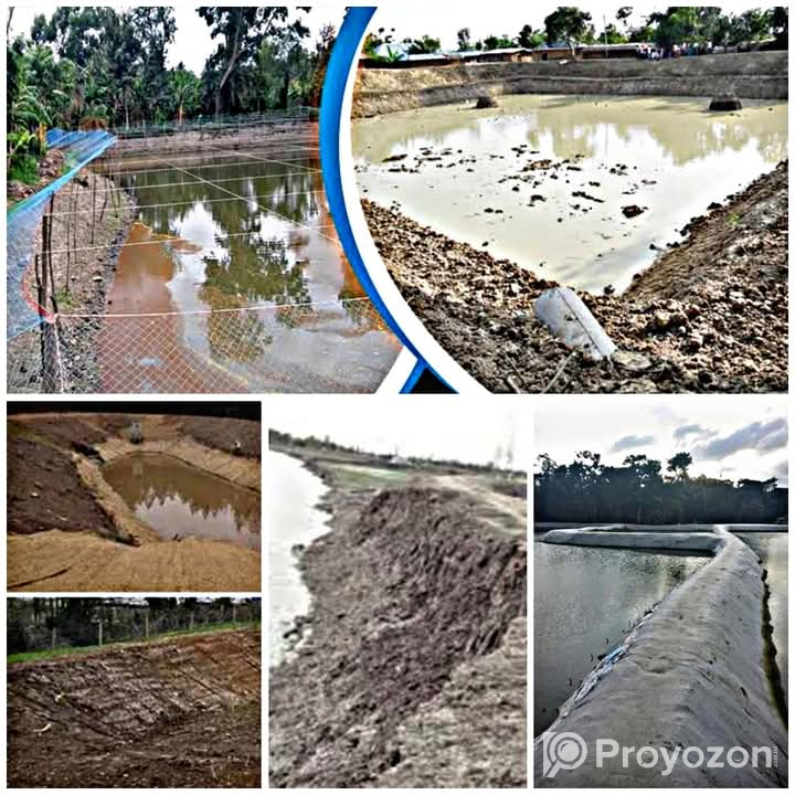 হাইব্রিড দূর্বা ঘাসের বীজ।কেজি হিসেবে বিক্রি করা হয়।