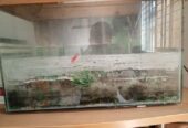 Aquarium sale… Hot offer