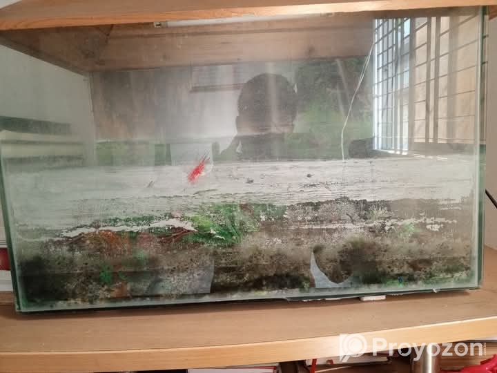 Aquarium sale… Hot offer