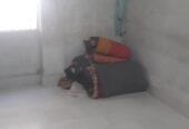 ৩ রুম ভাড়া দেওয়া হবে