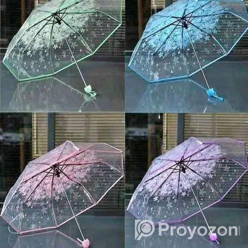 Transparent Umbrella for sell