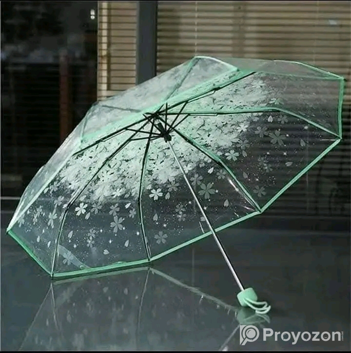 Transparent Umbrella for sell
