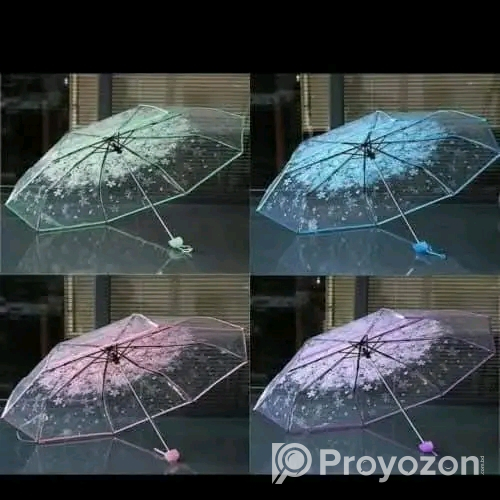 Transparent Umbrella for sell