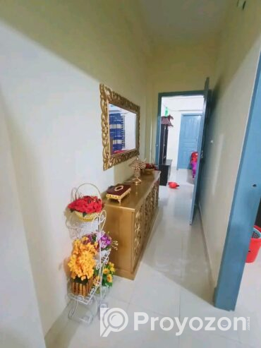 আলো বাতাসপূর্ন দক্ষিনমুখী (সম্পুর্ন নতুন) ২ টি ফ্ল্যাট ভাড়া