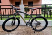 Mustang Beta 401 for sell