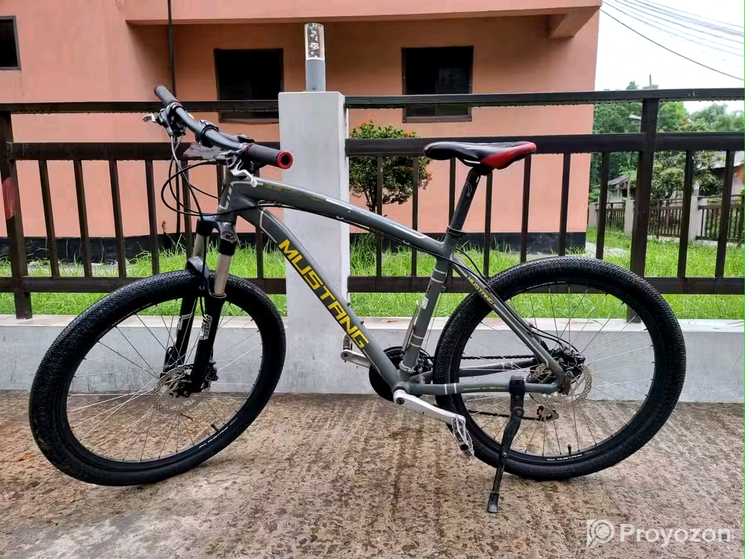 Mustang Beta 401 for sell