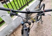 Mustang Beta 401 for sell