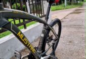 Mustang Beta 401 for sell