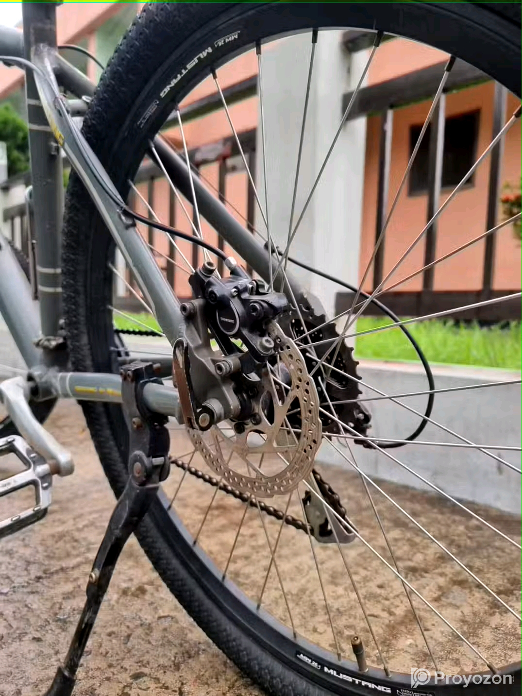 Mustang Beta 401 for sell