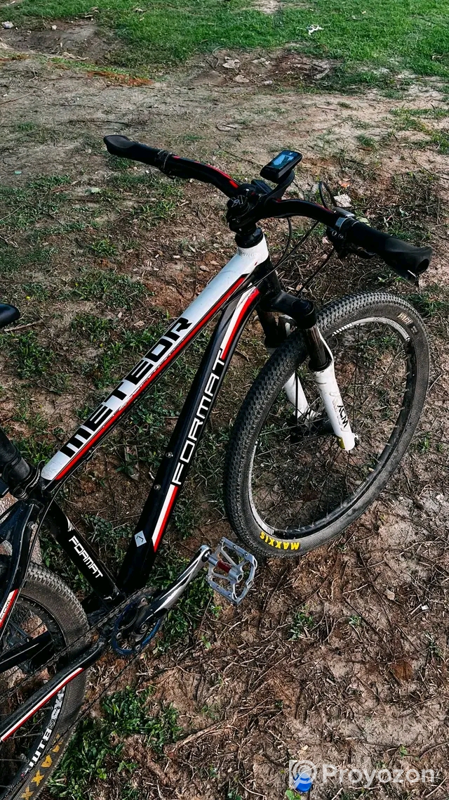 Caikel sell kora hoby