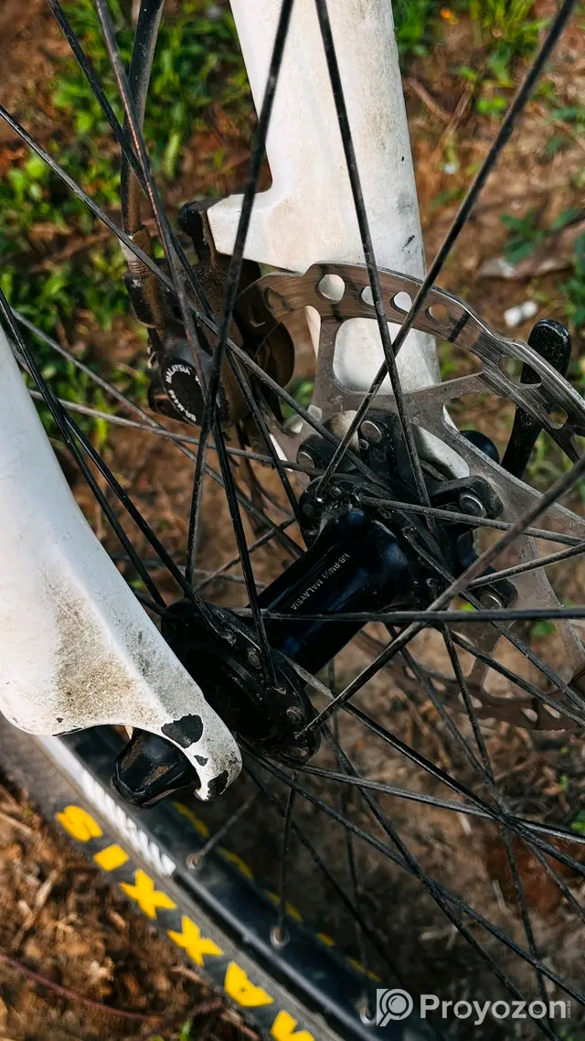 Caikel sell kora hoby