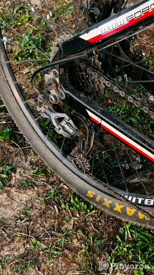 Caikel sell kora hoby