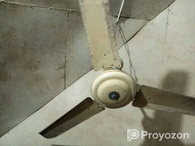 জরুরী ভিত্তিতে বিক্রি করা হবে ফ্যান