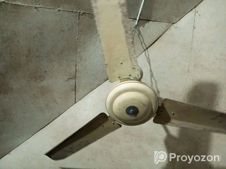 জরুরী ভিত্তিতে বিক্রি করা হবে ফ্যান