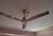 Ceiling fan. for sell