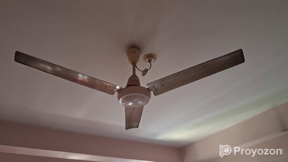Ceiling fan. for sell