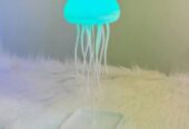 জেলিফিশের ডেস্ক, শেলফ বা শোকেস Light