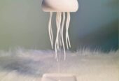 জেলিফিশের ডেস্ক, শেলফ বা শোকেস Light