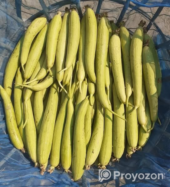 হাইব্রীড ধুন্দল . বিক্রি করা হবে