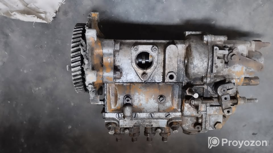 পাম . বিক্রি করা হবে