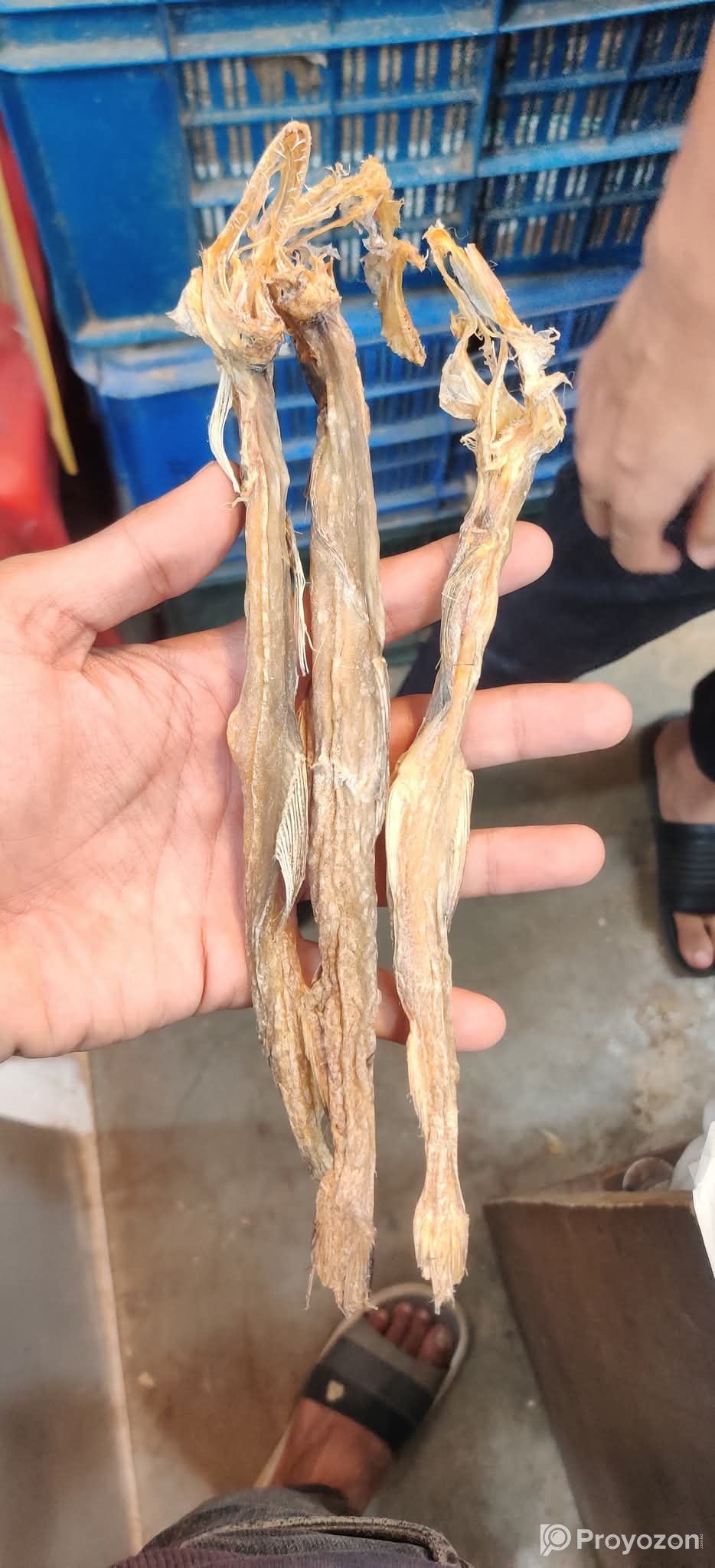 আমাদের কাছে পাচ্ছেন কক্সবাজারে সামুদ্রিক শুটকি