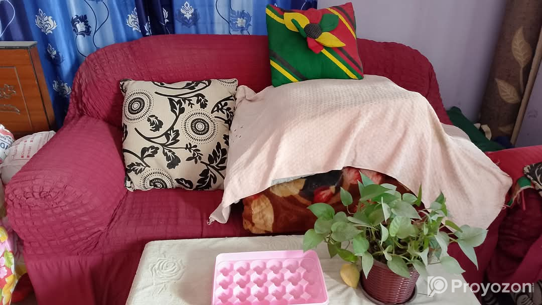 শোফা সেট টি সেল হবে