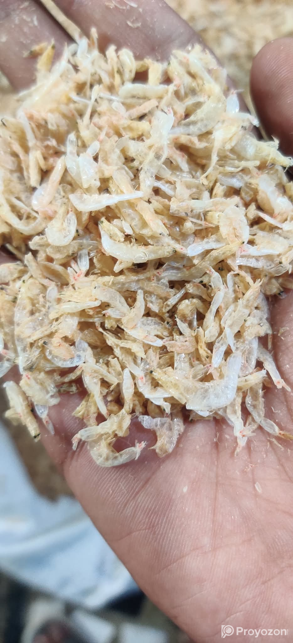 আমাদের কাছে পাচ্ছেন কক্সবাজারে সামুদ্রিক শুটকি ওবার্মিজ পণ্য