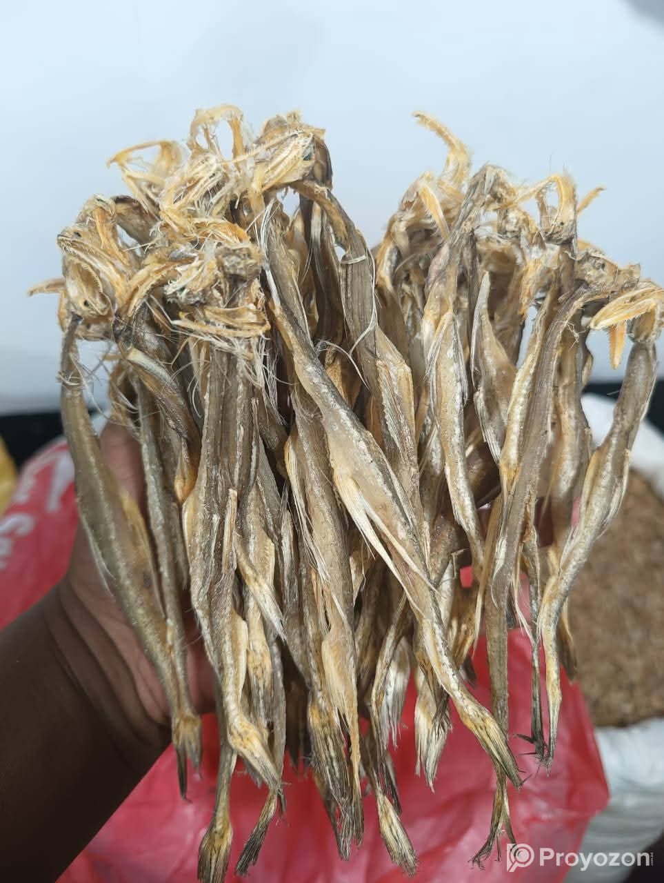 আমাদের কাছে পাচ্ছেন কক্সবাজারে সামুদ্রিক শুটকি ওবার্মিজ পণ্য