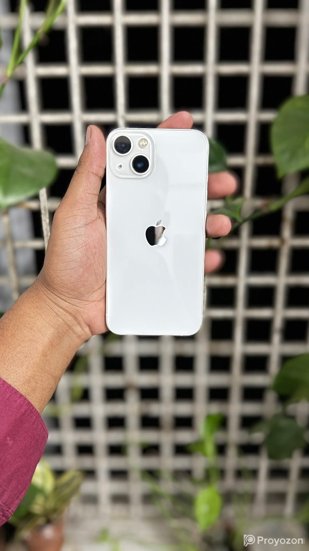 iphone 13 128gb indian fhone sell hobe