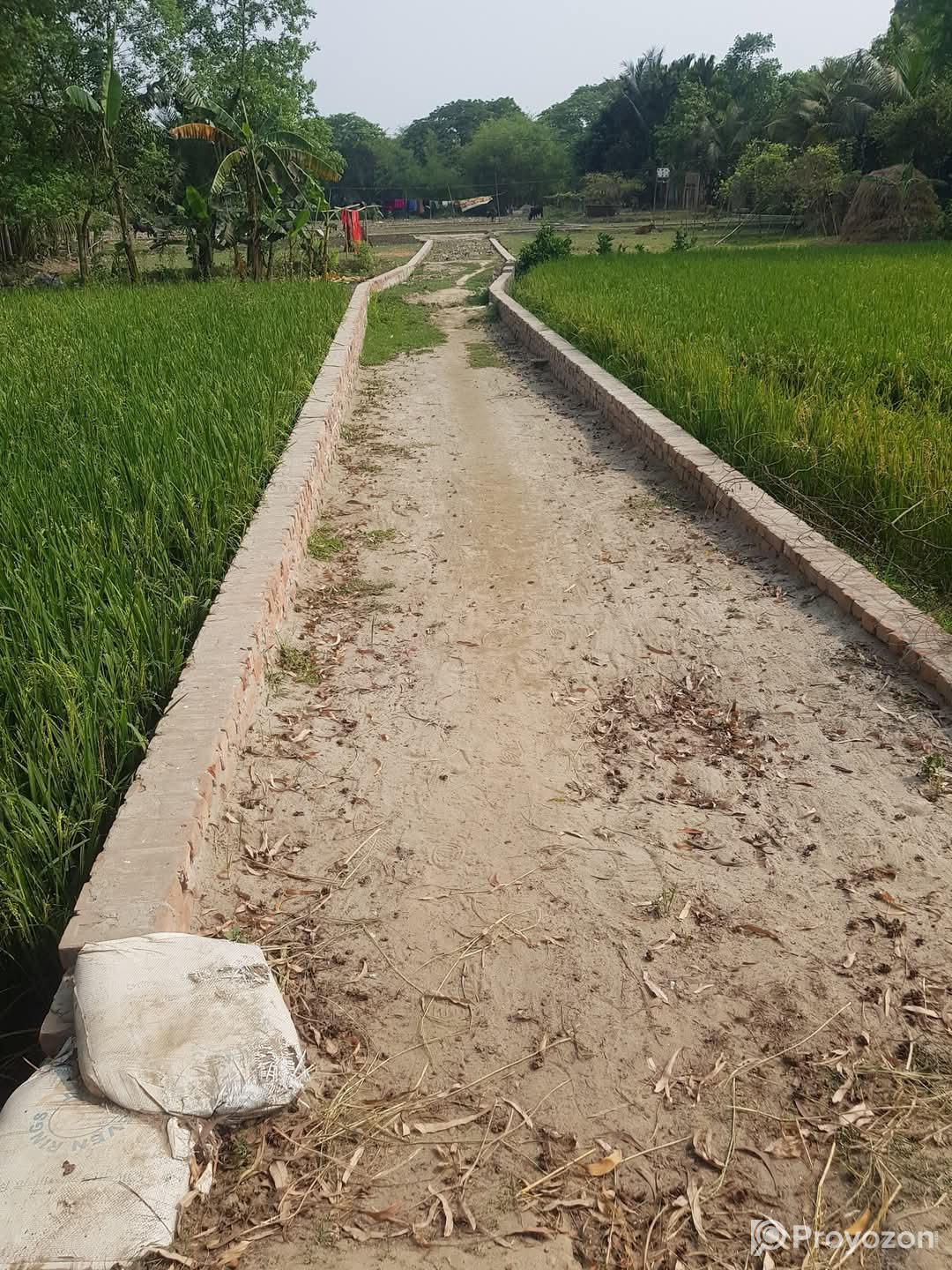 জরুরী ভিত্তিতে ৪ শতাংশ প্লট জমি বিক্রয় হবে