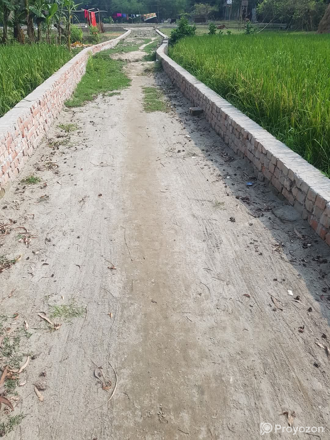 জরুরী ভিত্তিতে ৪ শতাংশ প্লট জমি বিক্রয় হবে