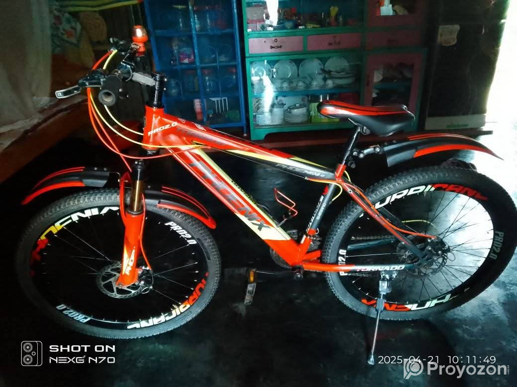 Fhonix bysicle for sell post