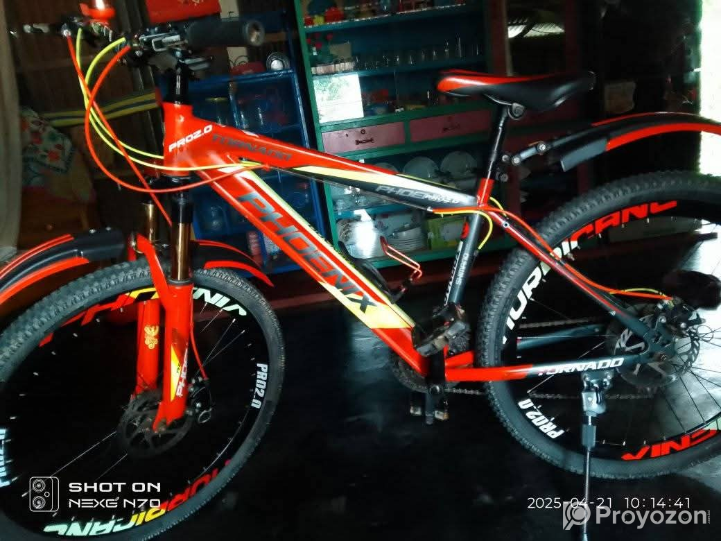 Fhonix bysicle for sell post