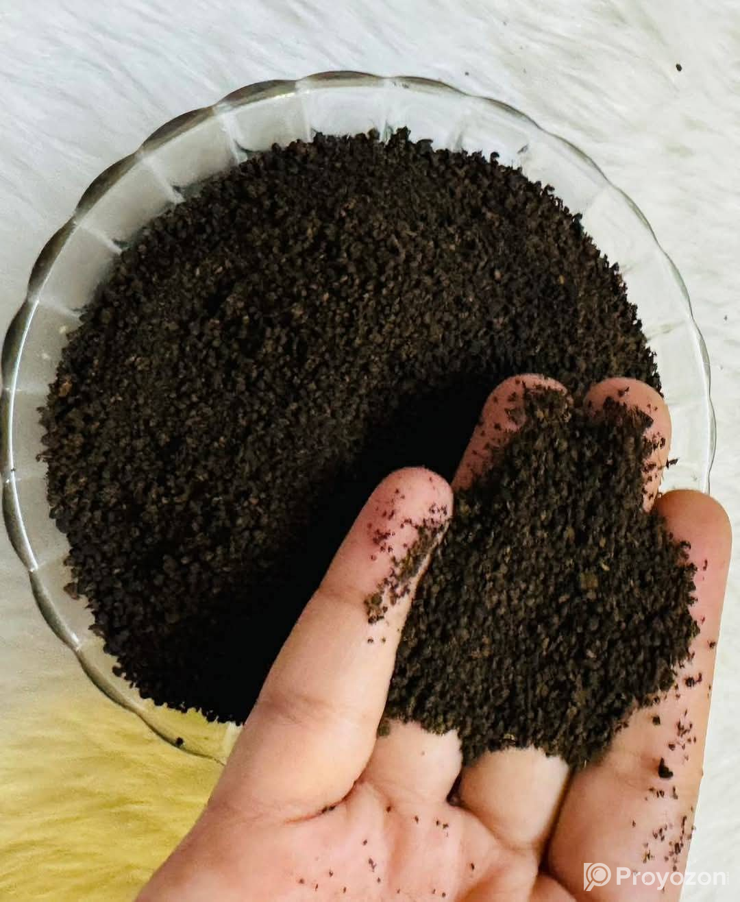 শ্রীমঙ্গলের এক্সপোর্ট কোয়ালিটির “এ গ্রেডের” চা পাতা