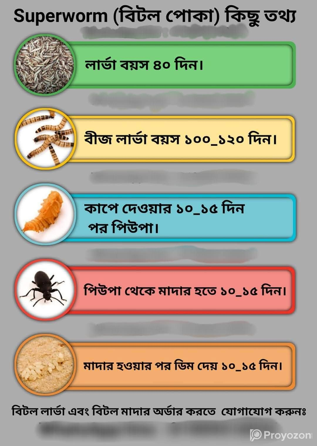 হাঁস, মুরগী, সৌখিন পাখি ও একুরিয়াম ফিশ এর আদর্শ খাবার