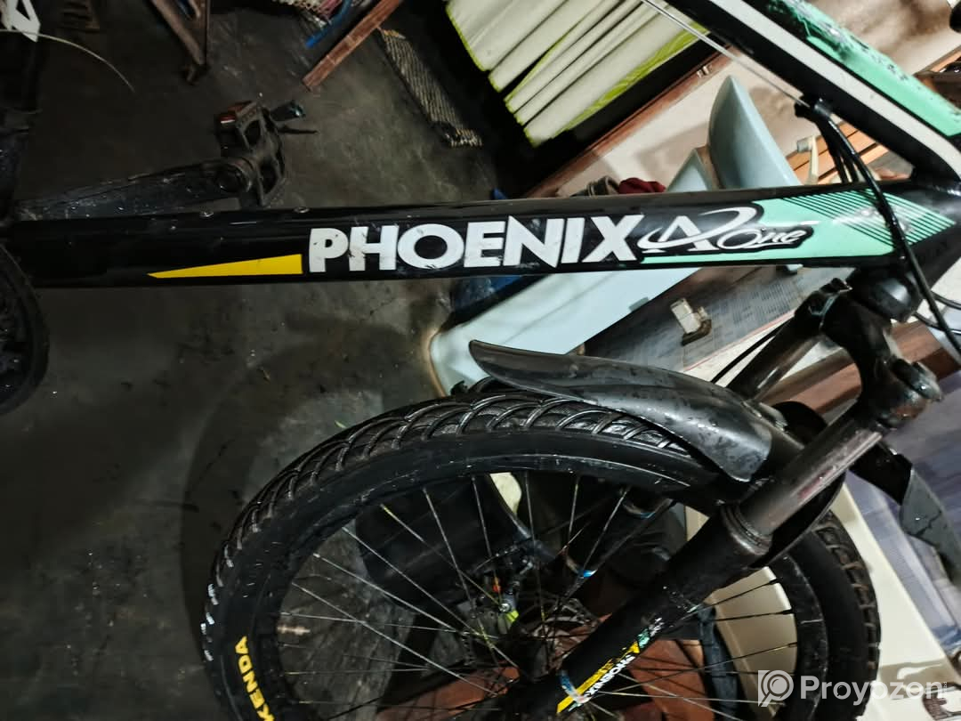 ফনিক্স সাইকেল টা বিক্রি করা হবে