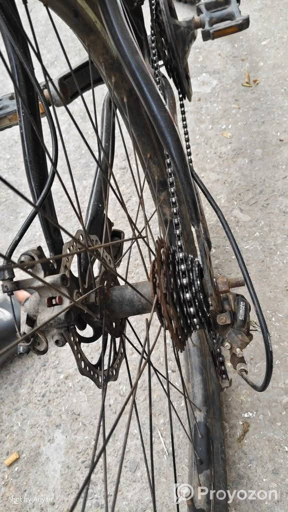 ফনিক্স সাইকেলটা বিক্রি করা হবে