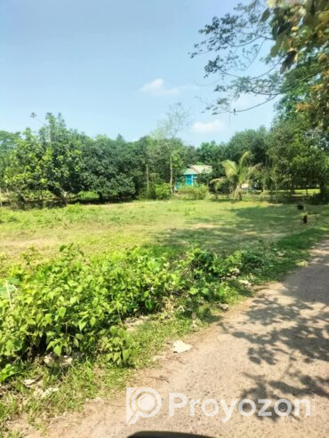 ২৬ শতাংশ। জমি বিক্রয় করা হইবে।