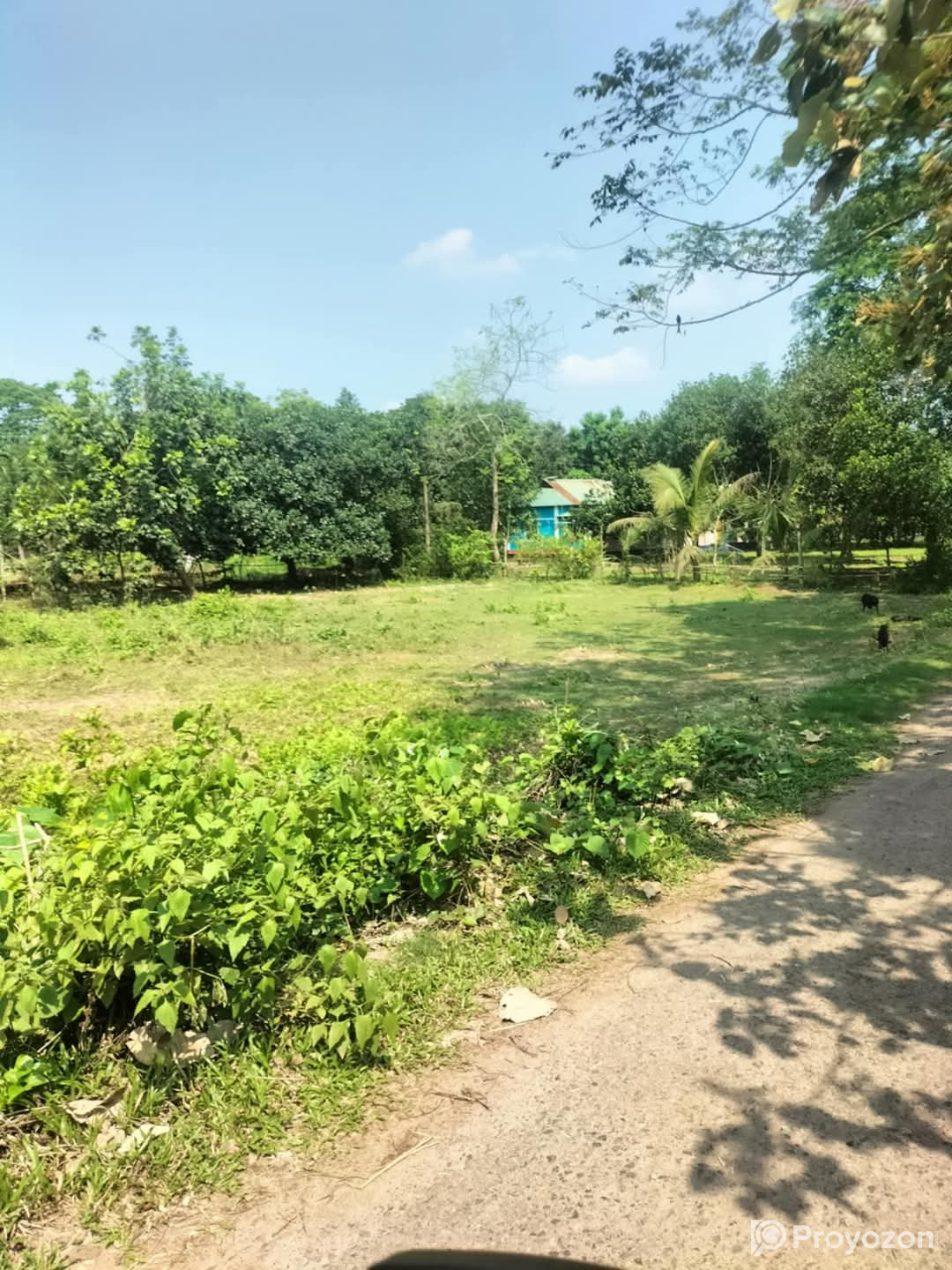 ২৬ শতাংশ। জমি বিক্রয় করা হইবে।