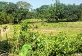 ২৬ শতাংশ। জমি বিক্রয় করা হইবে।